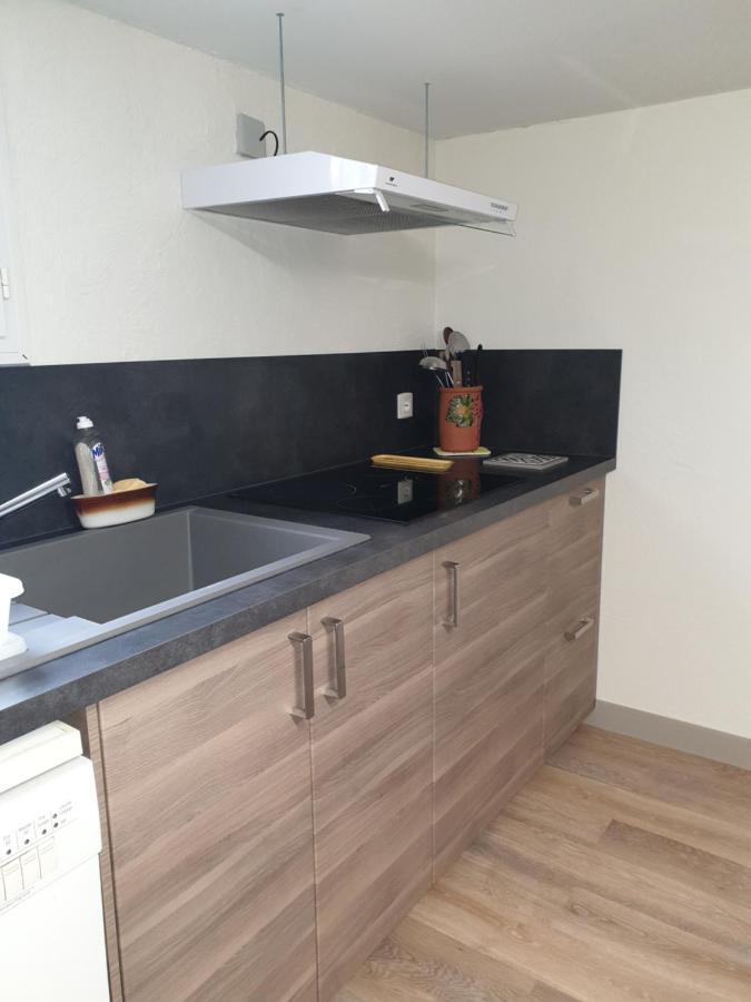 T1 Dans Maison Au Calme Réalmont Eksteriør billede